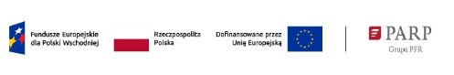 Fundusze Europejskie dla Polski Wschodniej, Rzeczpospolita Polska, Dofinansowane przez Unię Europejską, PARP