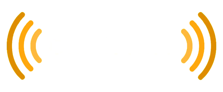 OmniSense